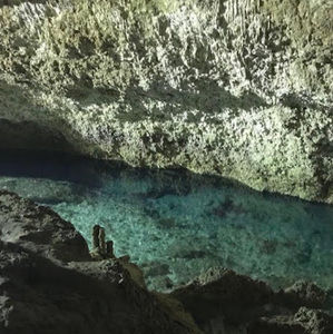 Meet your Posher, Edith